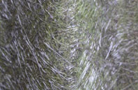 Quarrywood fibreglass roof work